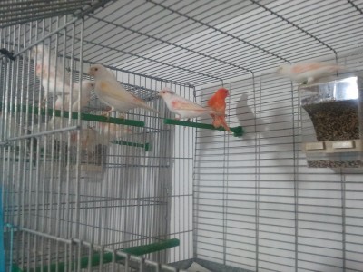 2011-11-19 09.32.30.jpg