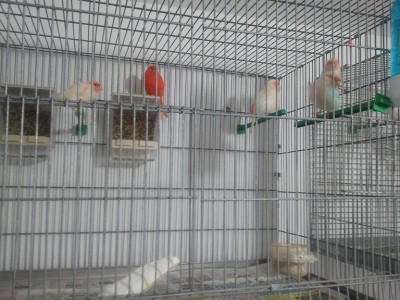 2011-11-19 09.35.44.jpg