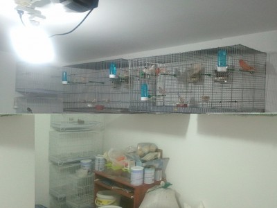 2011-11-19 09.32.58.jpg