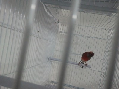 2011-11-19 09.48.48.jpg