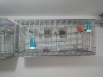 2011-11-19 09.32.04.jpg