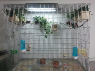 2011-11-19 09.36.56.jpg