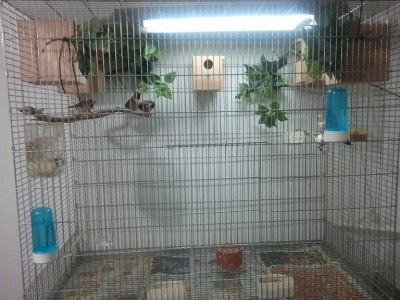 2011-11-19 09.37.08.jpg