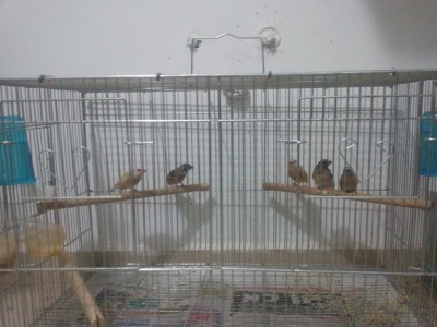 2011-11-19 09.37.20.jpg