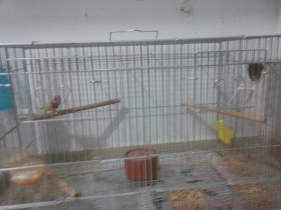 2011-11-19 09.37.31.jpg