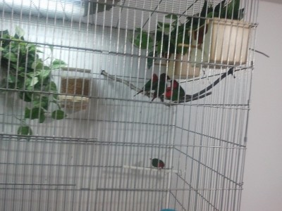 2011-11-19 09.37.43.jpg