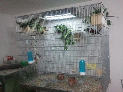 2011-11-19 09.37.56.jpg