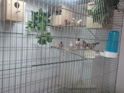 2011-11-19 09.38.07.jpg