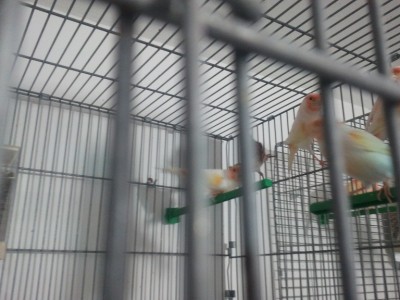 2011-11-19 09.49.02.jpg