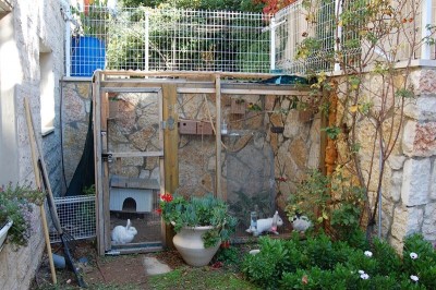 הכלוב במבט כללי מהחזית