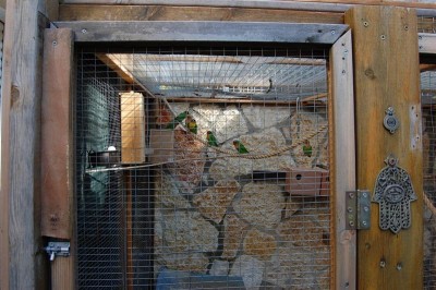 מבט על חלק מהלהקה