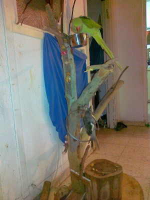 17112011588 (Copy).jpg