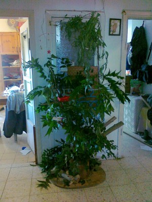 22112011713 (Copy).jpg