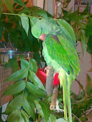 22112011682 (Copy).jpg