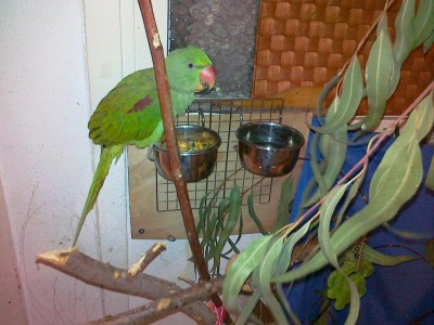 21112011664 (Copy).jpg