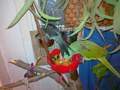 20112011652 (Copy).jpg