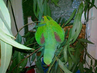 20112011631 (Copy).jpg