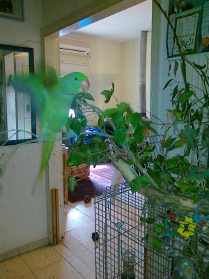 13112011523 (Copy).jpg