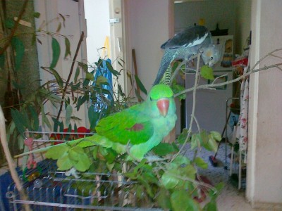 13112011569 (Copy).jpg