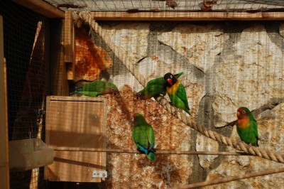 שניים מהשלישייה בלווית הוריהם