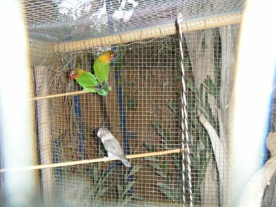 12.11 131 [800x600].jpg