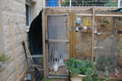 פטנט למניעת בריחת התוכים כאשר הדלת נפתחת.