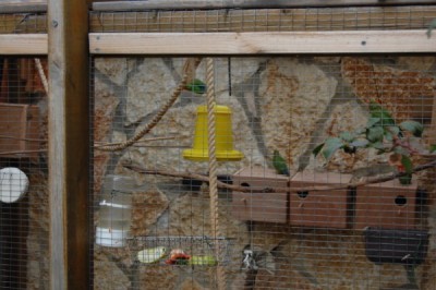 וגם מתקן האכלה גדול ומרווח.