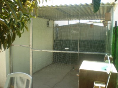 2011927_13162813483_JPG.JPG