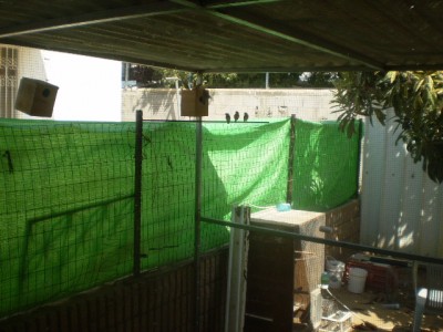 2011927_13275326974_JPG.JPG