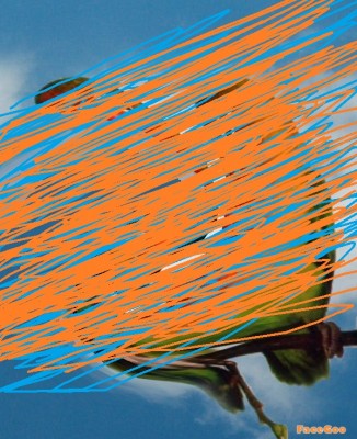 6.JPG