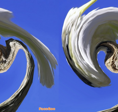 8.png