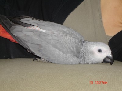 Picture 141.jpg