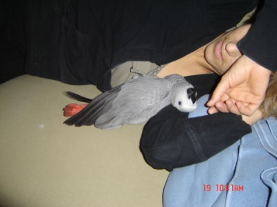 Picture 142.jpg