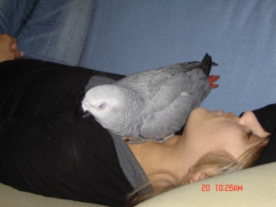 Picture 151.jpg