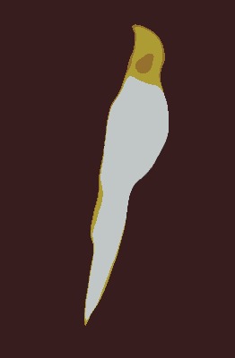 14.JPG
