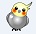 cockatiel.jpg