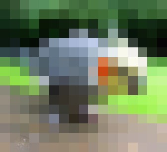 15.JPG