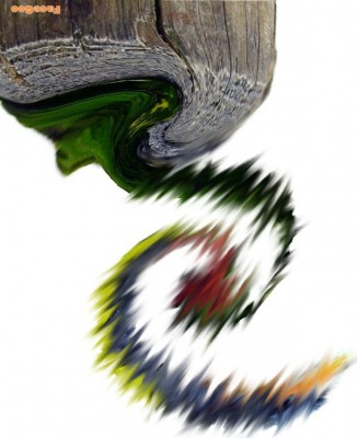 17.JPG