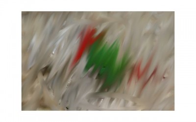 תוכי5.jpg