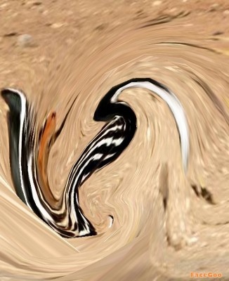 30.JPG