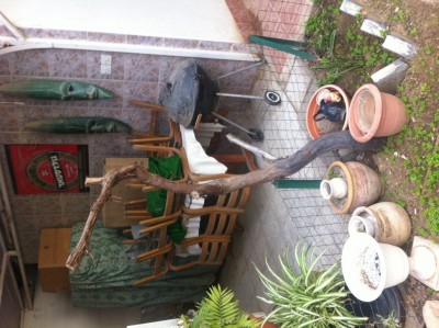 IMG_0386 (1028 x 768).jpg