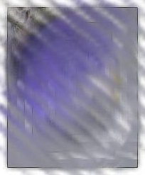 35.jpg