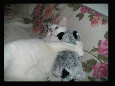 רגע של משחק