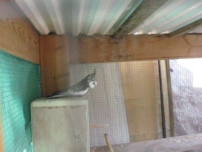IMG_1408_800x600_800x600.JPG