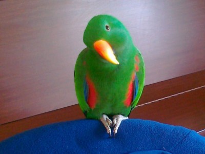 180120121051 (Copy).jpg