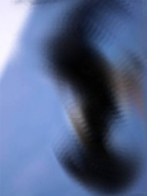 38.JPG