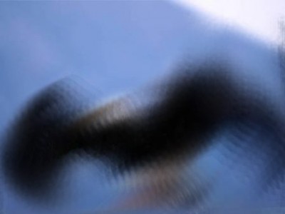 38.jpg