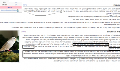 טעויות בויקיפדיה.png
