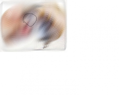 ארה.png