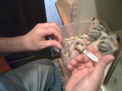 אהם אמהמהמם טעים טעים